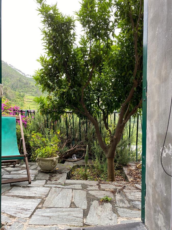 Cottage La Terrazza Леванто Экстерьер фото