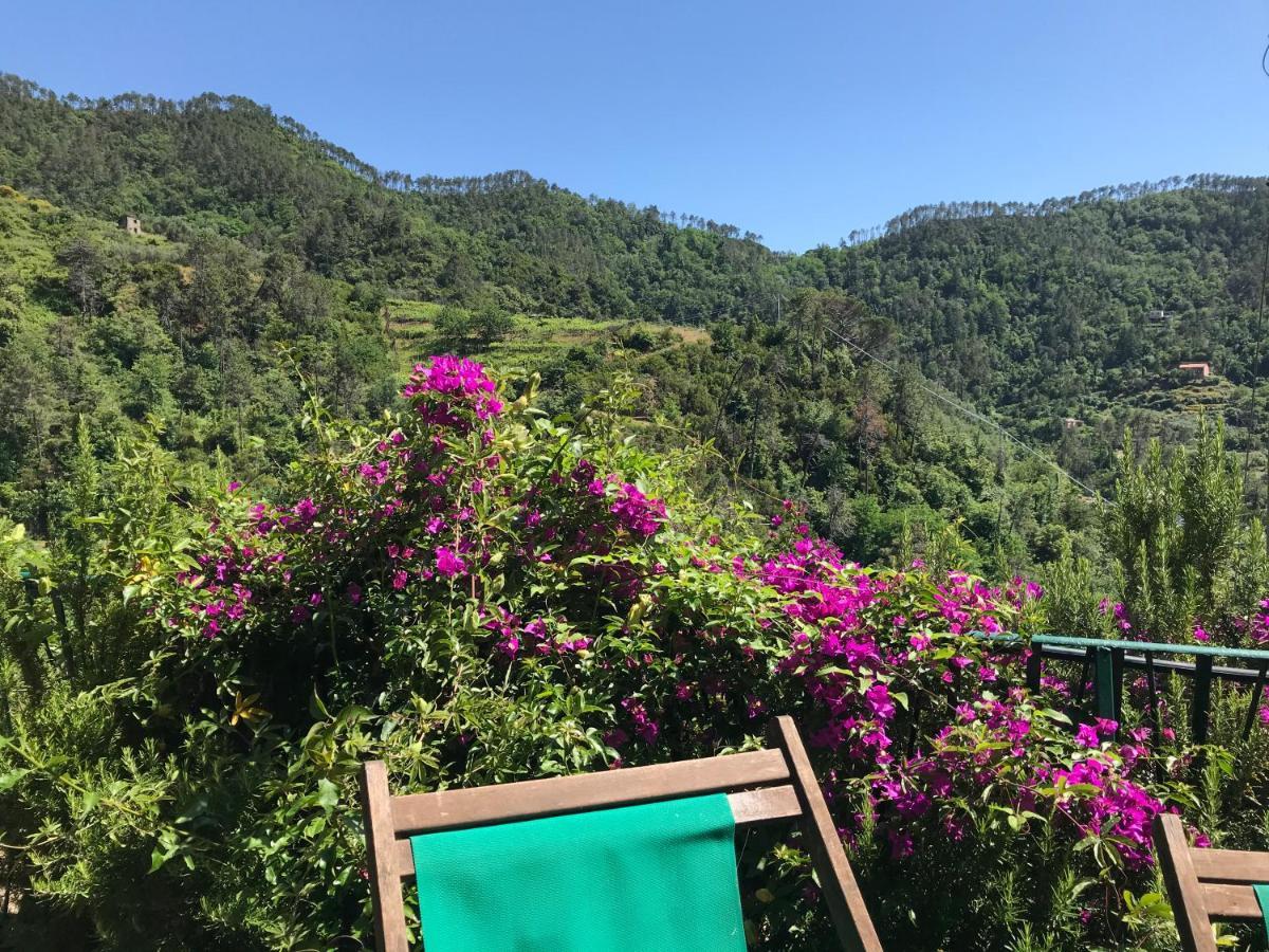 Cottage La Terrazza Леванто Экстерьер фото
