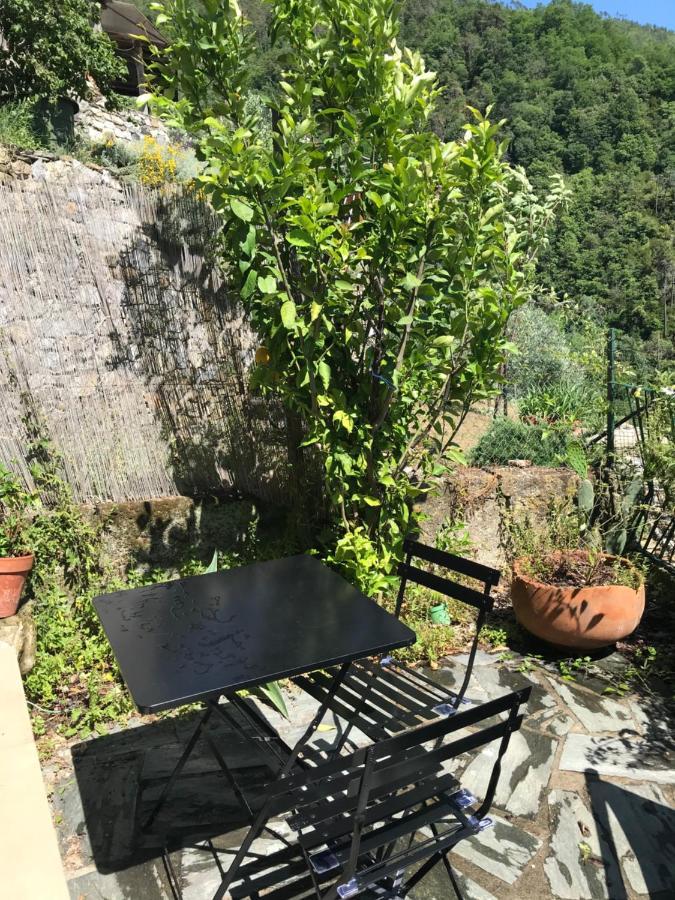 Cottage La Terrazza Леванто Экстерьер фото